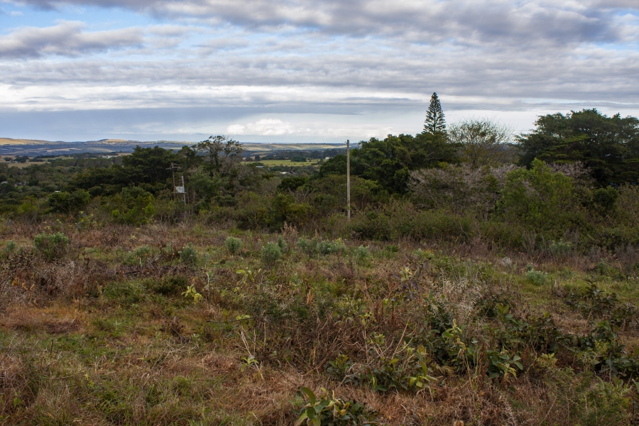 0 Bedroom Property for Sale in Bathurst Eastern Cape